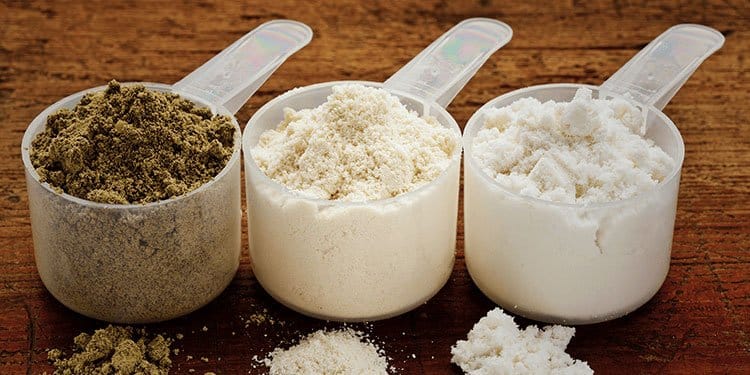 kinds of protein powder kinds of protein 2