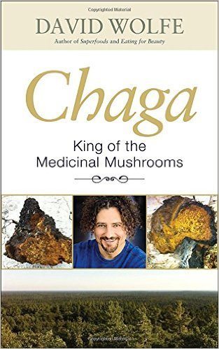 chaga
