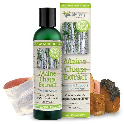 Maine Chaga Extract Maine Chaga Extract