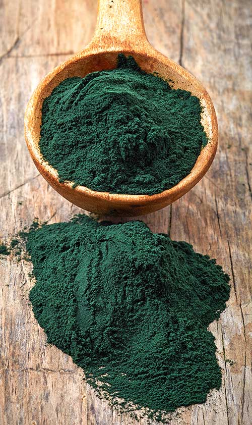 spoon-powder spoon-powder
