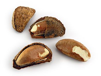 brazil nuts testosterone shelled