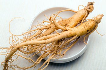 ginseng ginseng