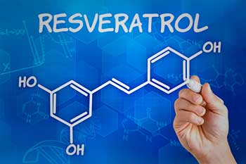 resveratrol resveratrol
