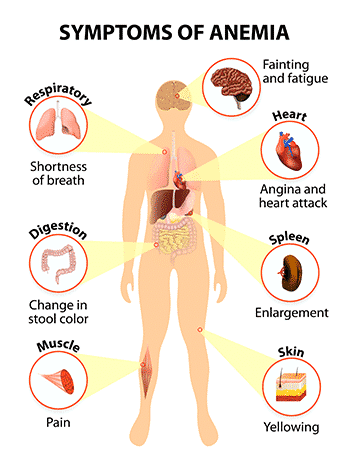Best B12 Supplement The Ultimate Guide anemia.