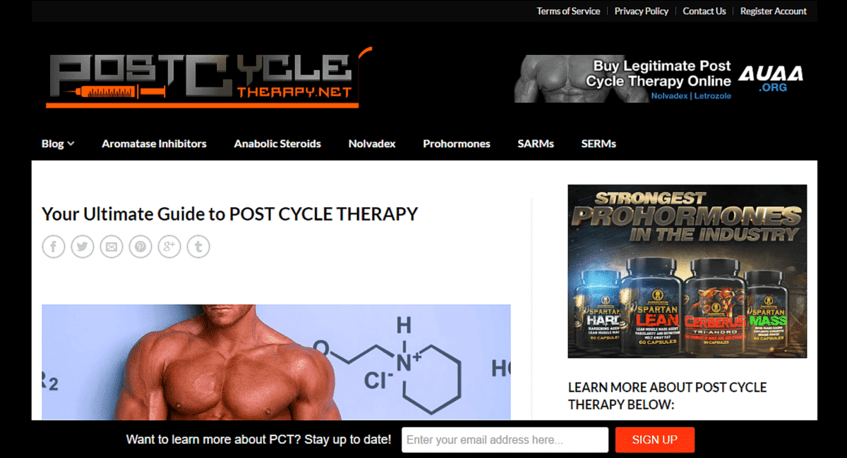 Post Cycle Therapy Post Cycle Therapy