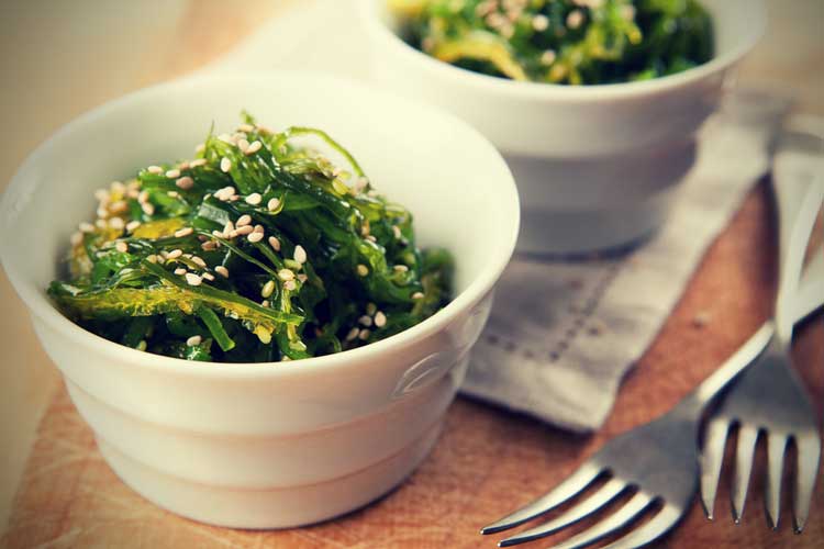 seaweed seaweed