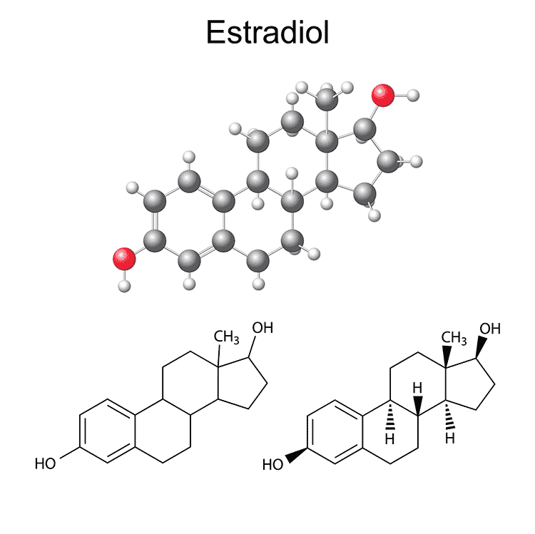 estradiol