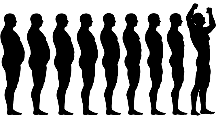 Regimen The Master Hormone for Fat Loss progress Regimen The Master Hormone for Fat Loss progress