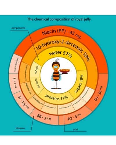 infographic