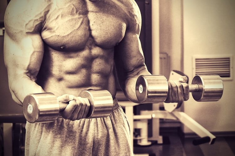 Body Builder Body Builder