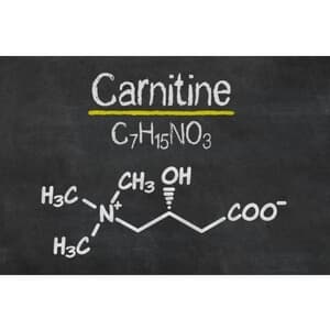 carnitine structure