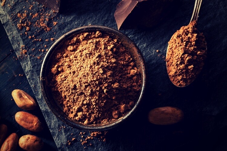 epicatechin supplement myostatin inhibitor cacao powder