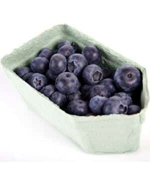 blueberries