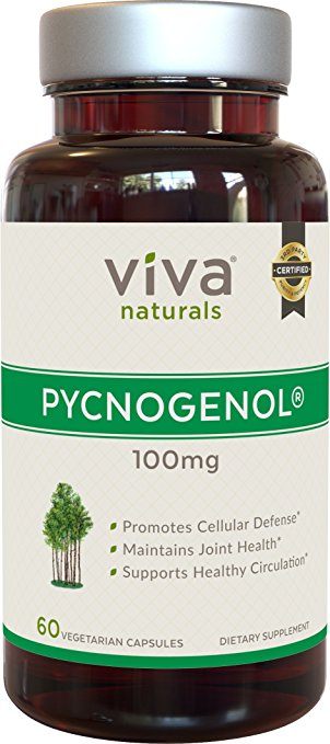 Viva Naturals Pycnogenol