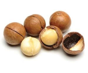 macadamia nuts macadamia nuts