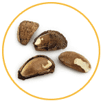 brazil nuts