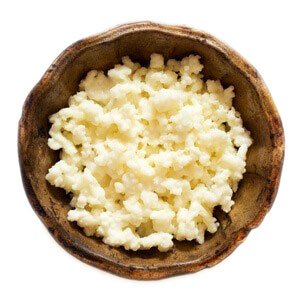 kefir kefir grains