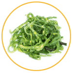 kelp seaweed