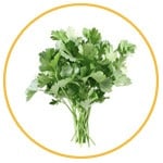 parsley