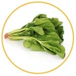 spinach