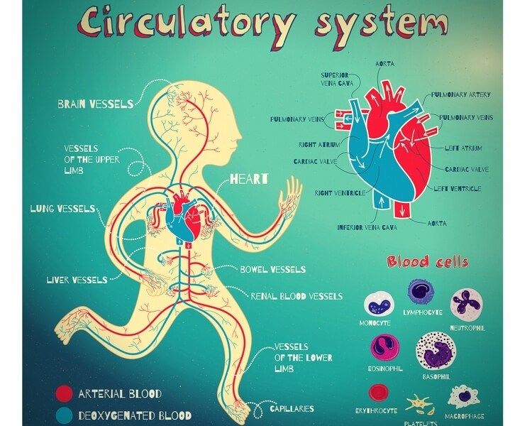 infographic
