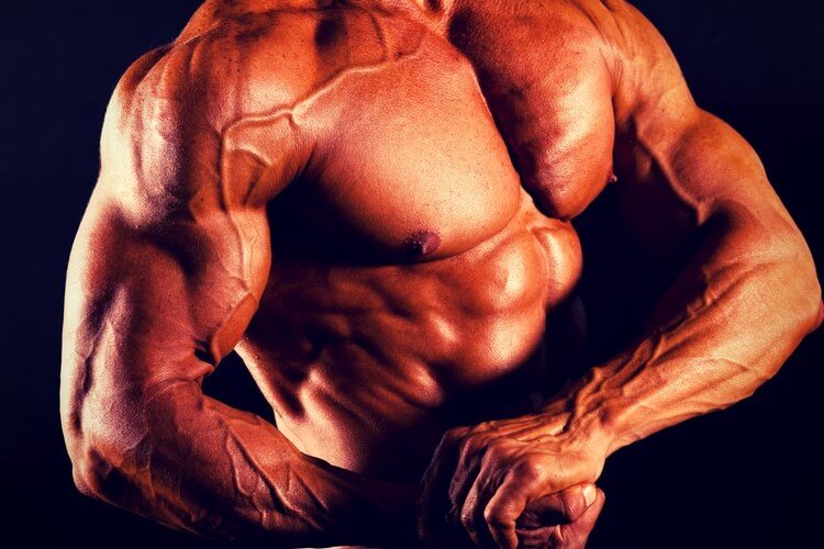 best vasodilator supplement vascular