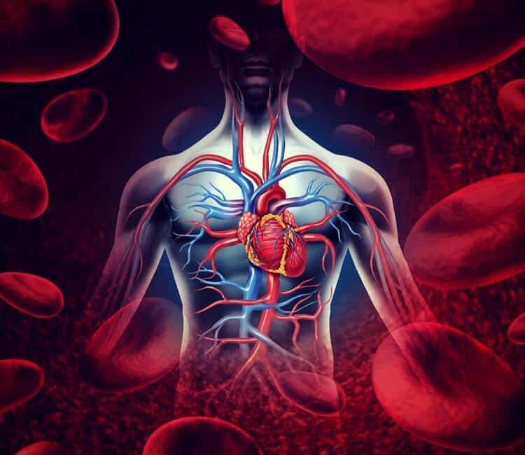 heart heart