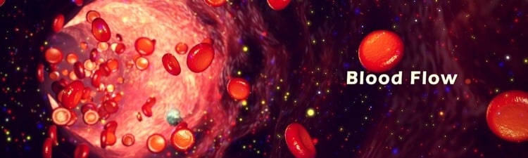 blood flow