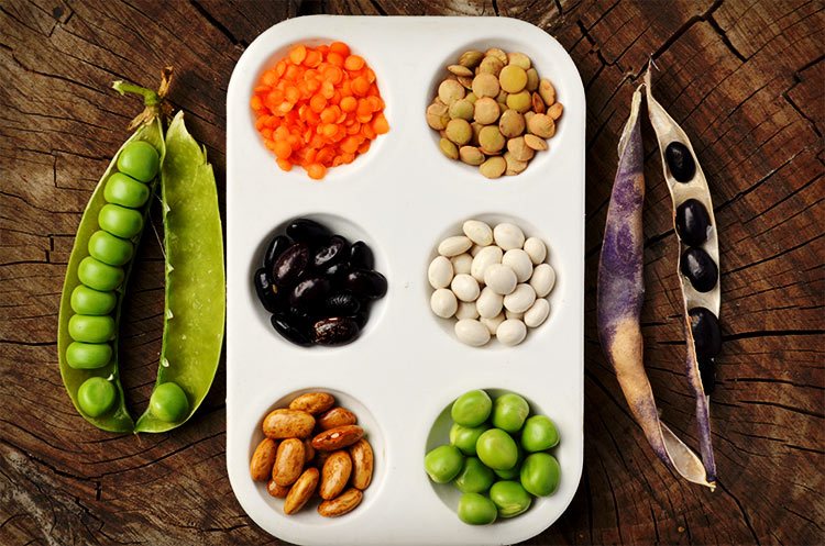 beans tray