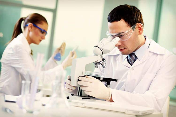 lab lab