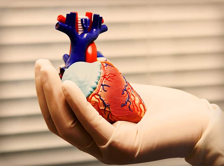 heart heart
