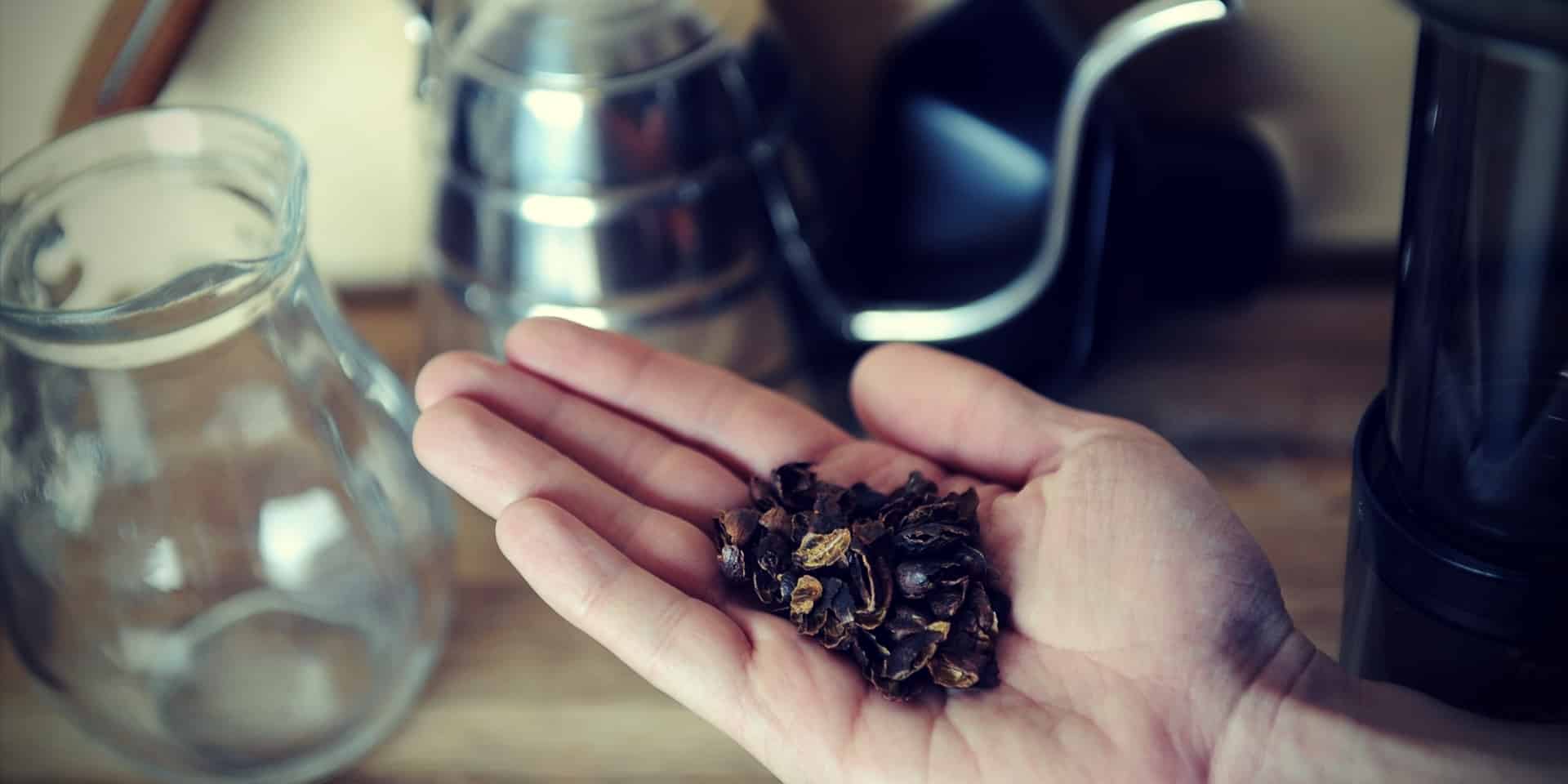 A person holding a handful of loose tea leaves with Cascara Coffee brewing equipment in the background.