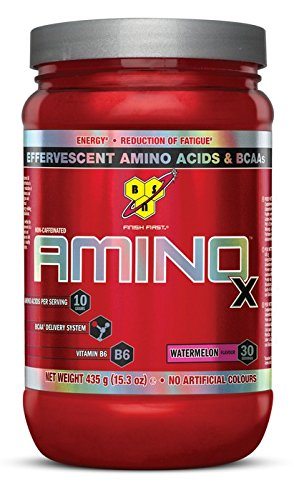 BSN AMINO X
