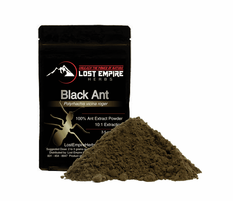 Black Ant Extract Powder Black Ant Extract Powder