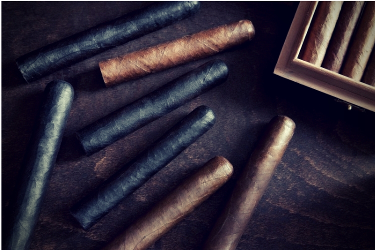 Cigar on a dark background