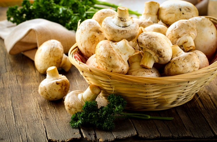 mushrooms in basket