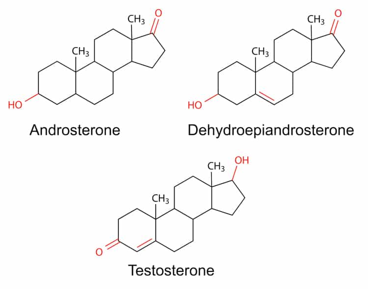 Structural formulas of male sex hormones with marked variable fr