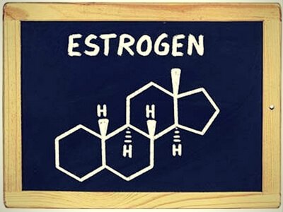 estrogen chart