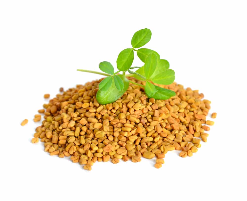 Fenugreek seeds and leaves used in standardized testosterone-supportive extracts