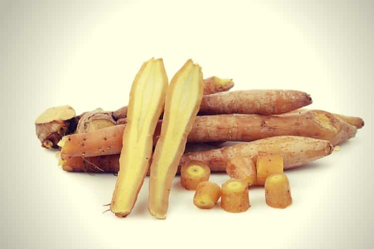 Fingerroot,Kaempfer, Boesenbergia Fingerroot,Kaempfer, Boesenbergia