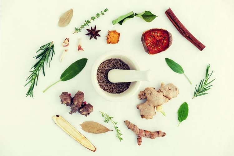 Foods