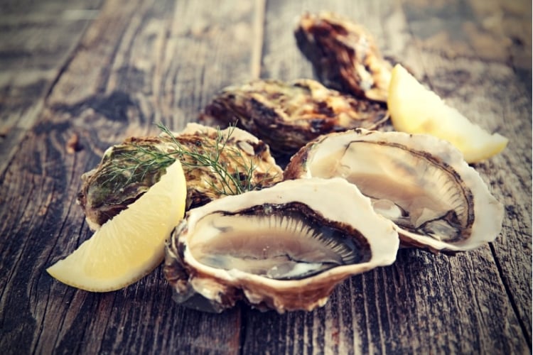 Fresh Oysters on wooden table Fresh Oysters on wooden table