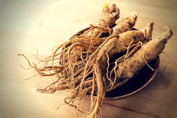 Ginseng