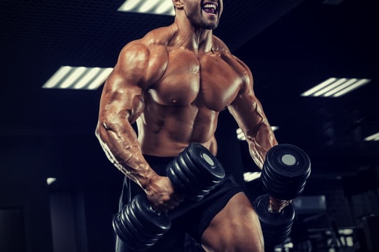 Handsome man with big muscles trains in the gym