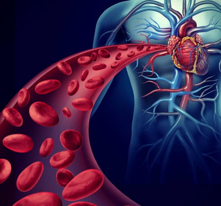 Heart Blood Health