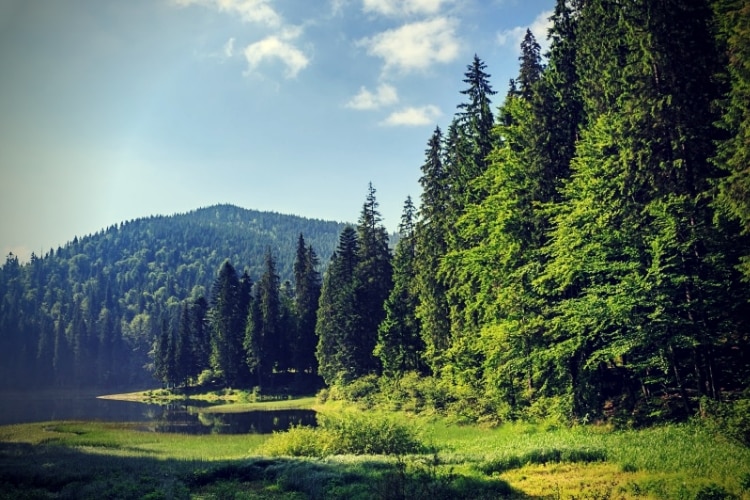 Lake in the mountains surrounded by a pine forest Lake in the mountains surrounded by a pine forest