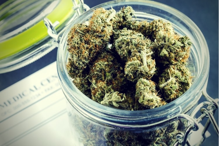 Medical Marijuana Buds