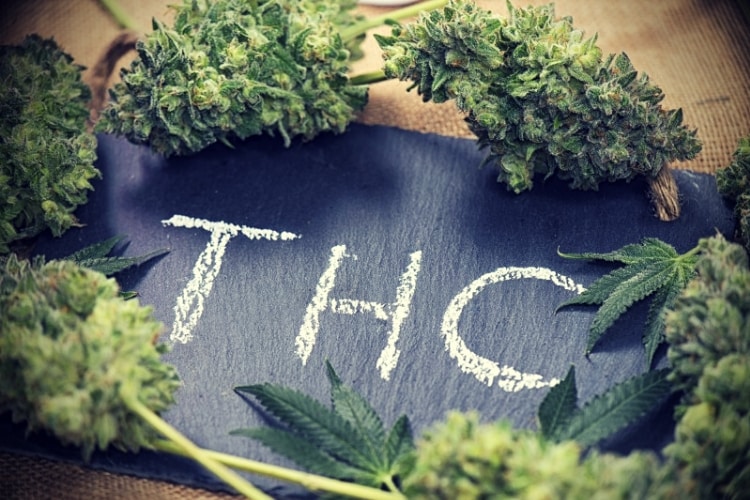 Medical marijuana background with cannabis buds & leaves framing Medical marijuana background with cannabis buds & leaves framing