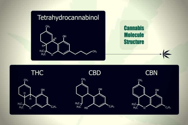 Molecular structure chemistry formula tetrahydrocannabinol and medical cannabis design