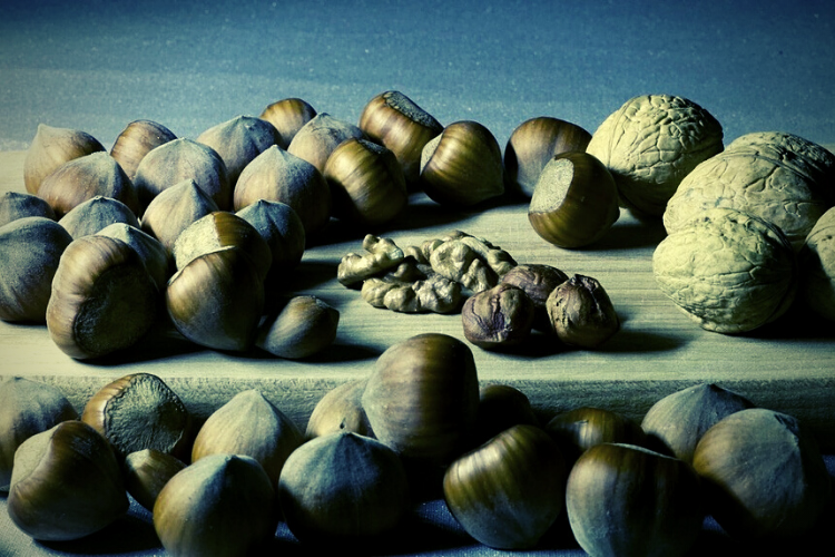 Nuts italian hazelnuts healthy Nuts italian hazelnuts healthy